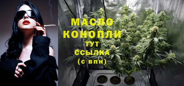 гашик Абаза